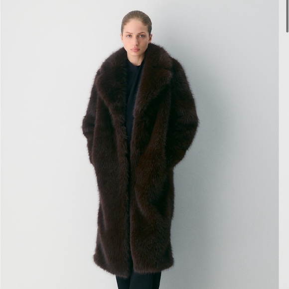 Aritzia Cortina Coat - Picture 3 of 5